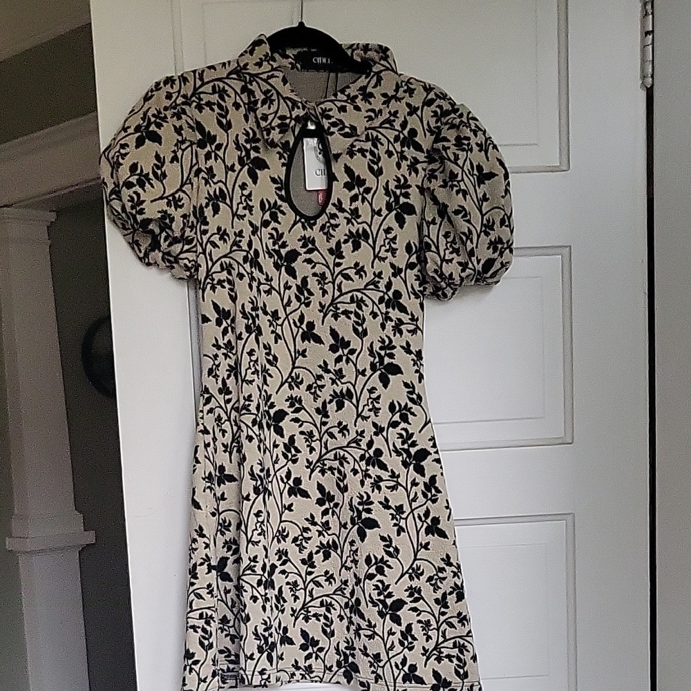 Cider Black and Cream Floral Mini Dress